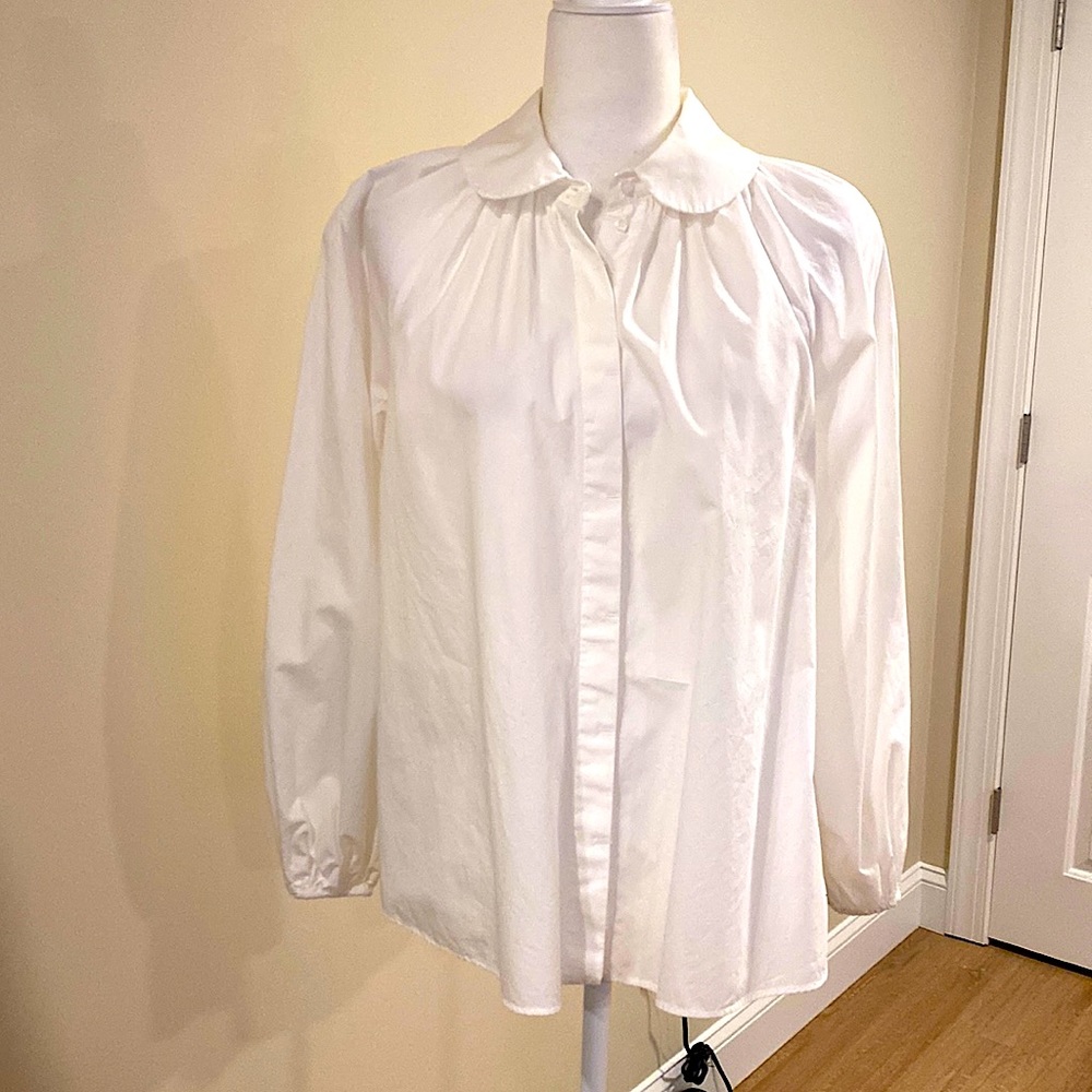 Zara Long Sleeve Swing Blouse
